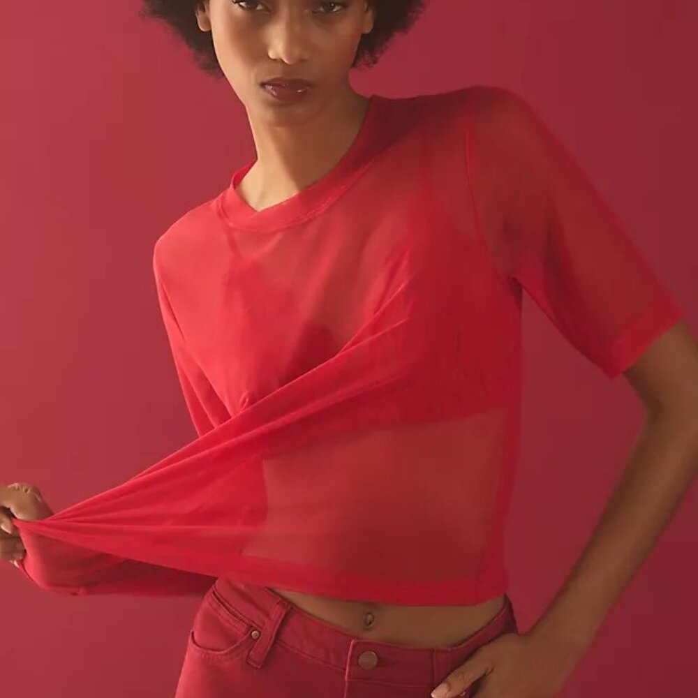 Anthropologie Porridge Mesh Half-Sleeve Red Top Round Neck See Through Sz L NWT